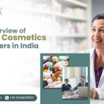 Ayurvedic Cosmetics Manufacturers in India
